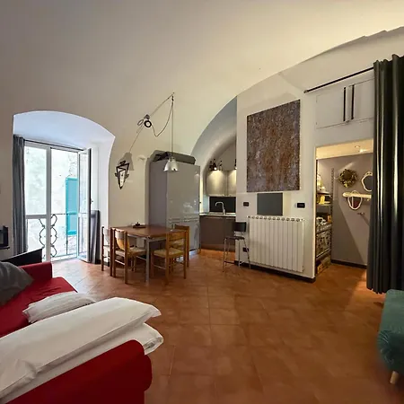 La Casa Del Matematico Curioso, Janov